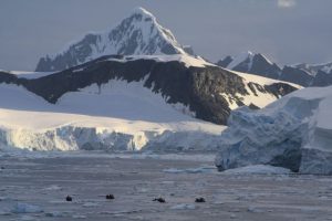 Antarktis-Touristen in der Meerenge The Gullet